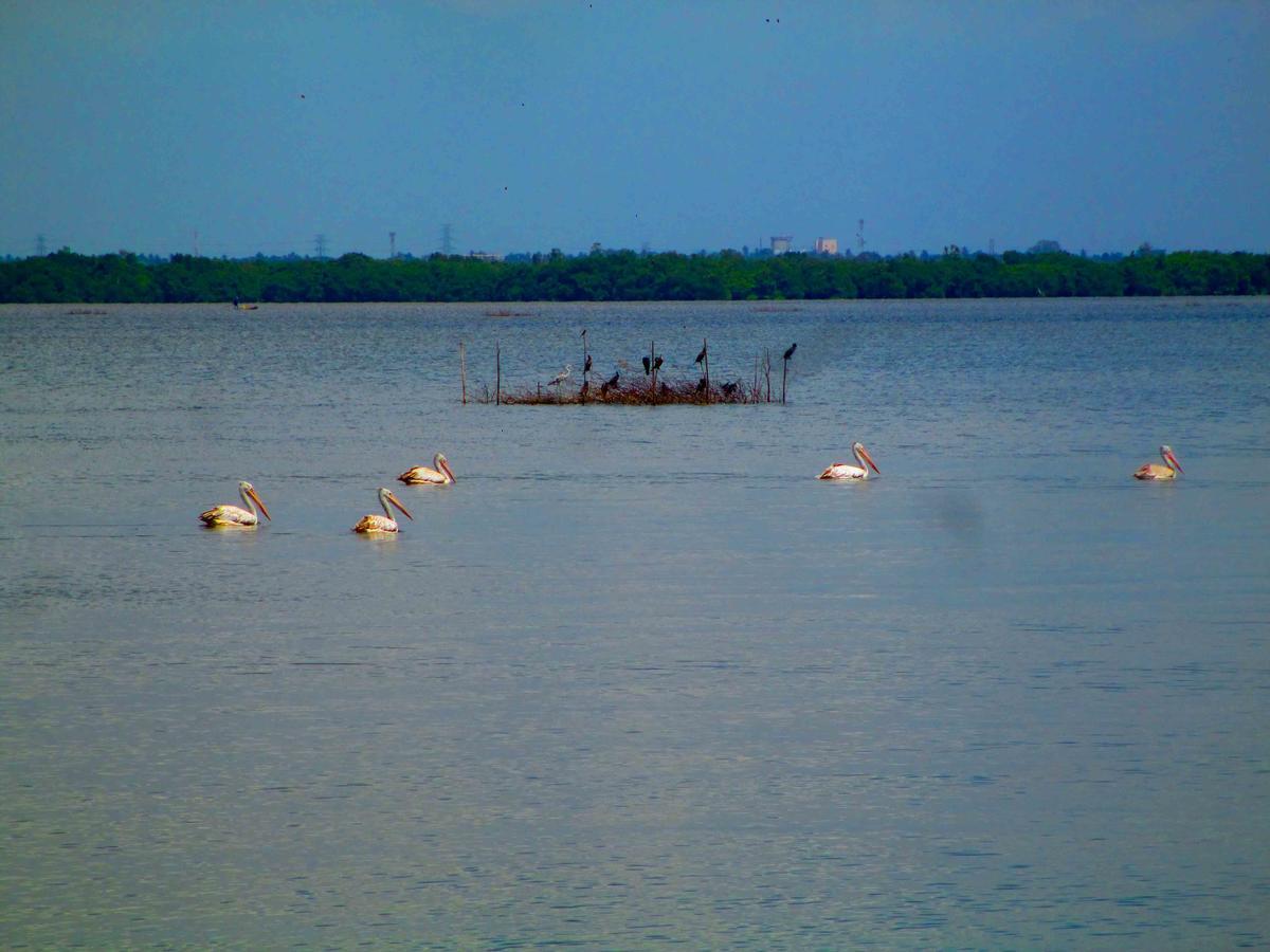 Nico Lagoon Hotel Negombo Bagian luar foto